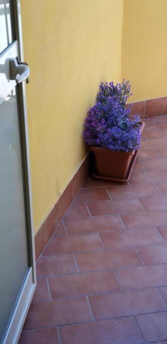 Borgo San Giorgio Apartment คาสเตลโมลา ภายนอก รูปภาพ