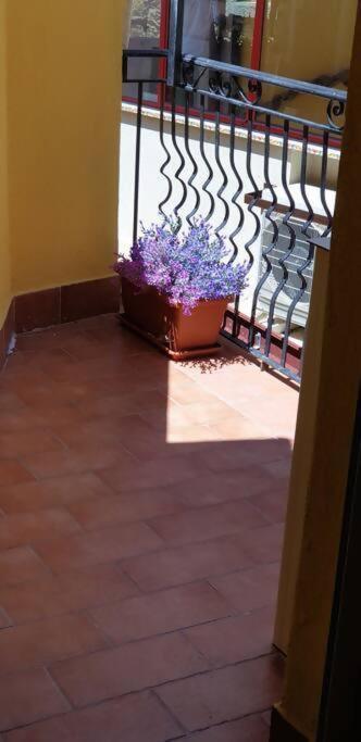 Borgo San Giorgio Apartment คาสเตลโมลา ภายนอก รูปภาพ