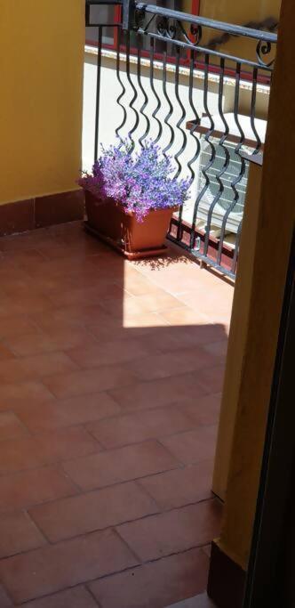 Borgo San Giorgio Apartment คาสเตลโมลา ภายนอก รูปภาพ